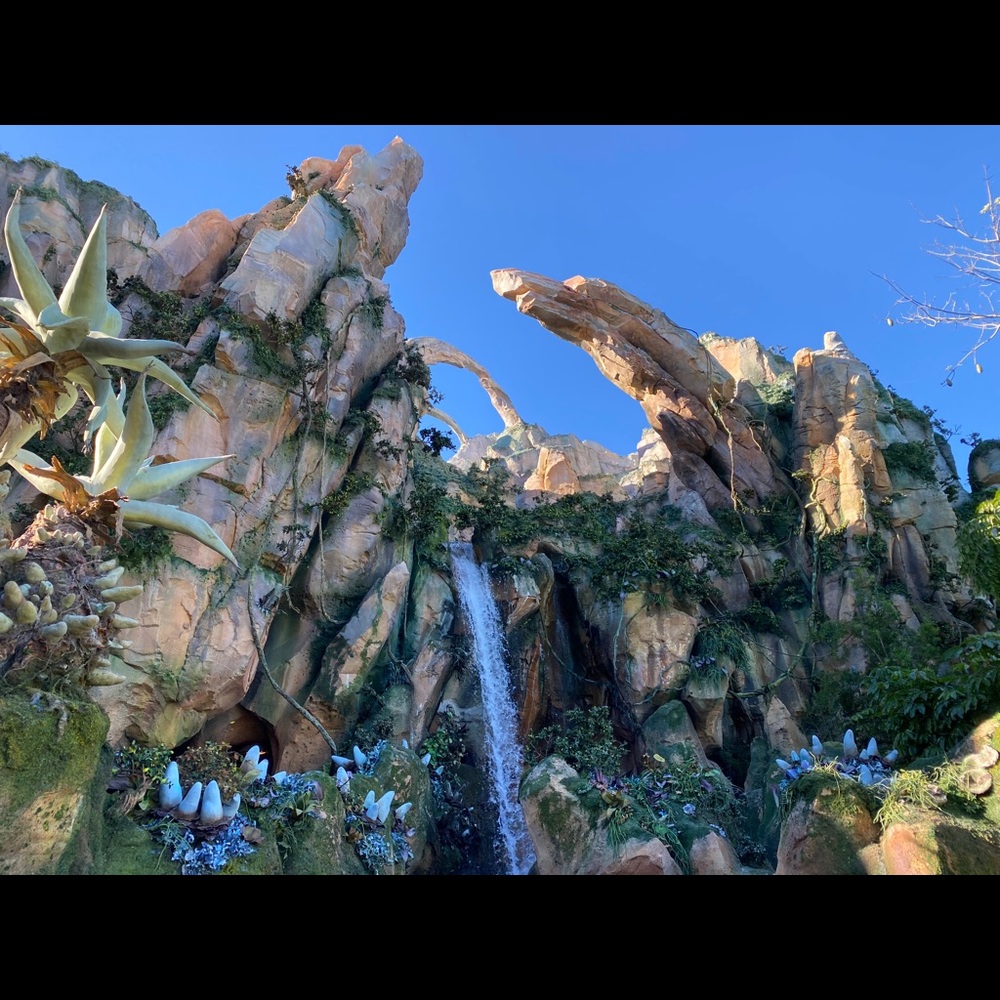 Meet your Posher, Nilsa